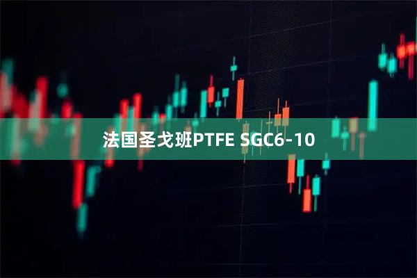 法国圣戈班PTFE SGC6-10