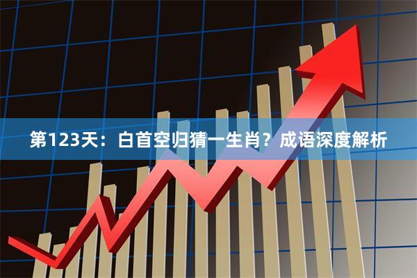 第123天：白首空归猜一生肖？成语深度解析